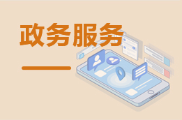 政务服务